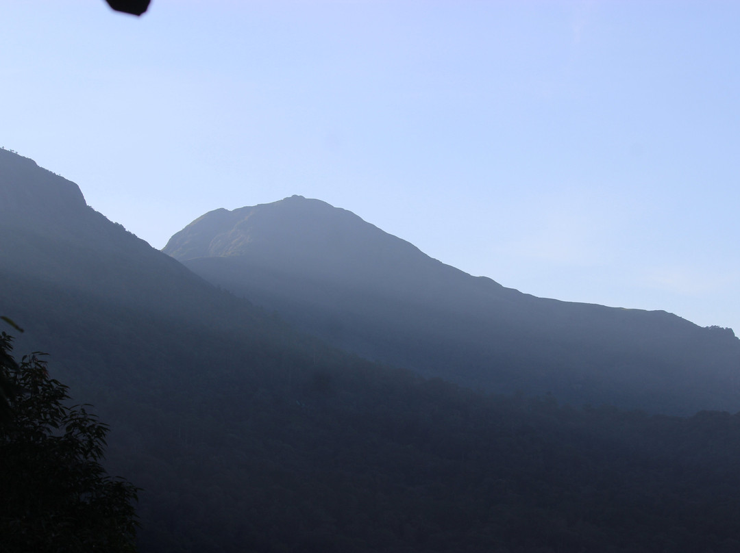Blackberry Hills Munnar Nature Resort & Spa主图