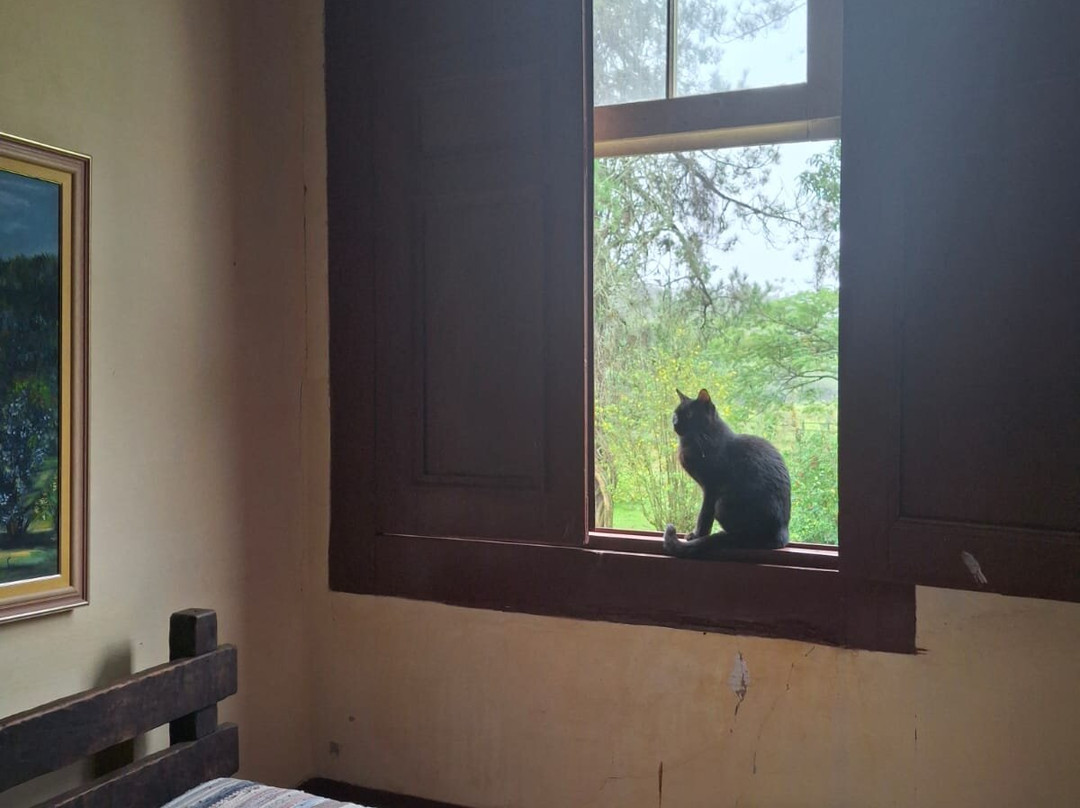 O Verdadeiro Sitio do Picapau Amarelo-Monteiro Lobato必去景点