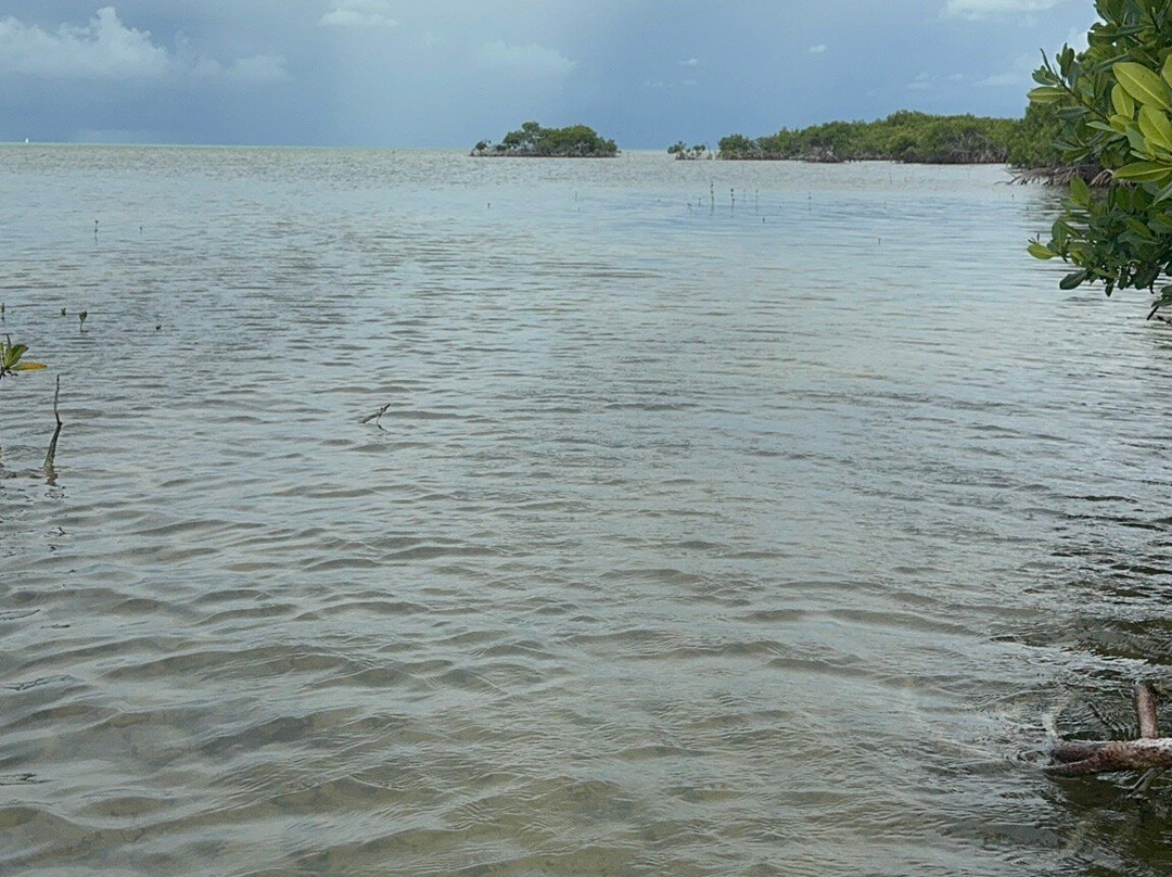 Tommy Gaunt Kitesurfing-Anegada必去景点