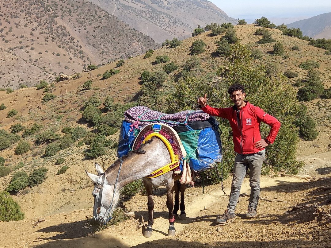Atlas Mountain Trekking-马拉喀什必去景点