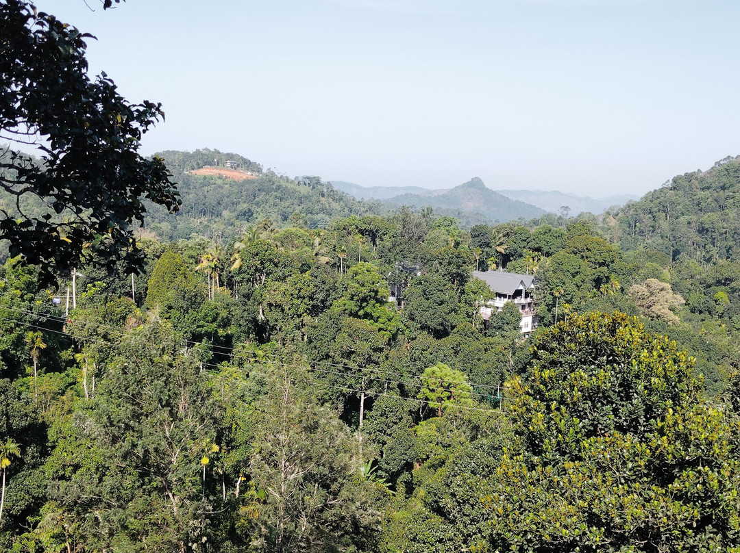 Green Kerala Tours & Travels景点图片