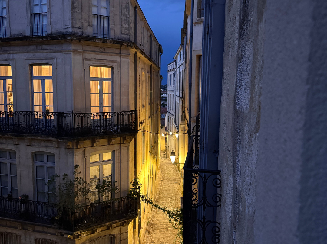 Hotel Du Palais主图