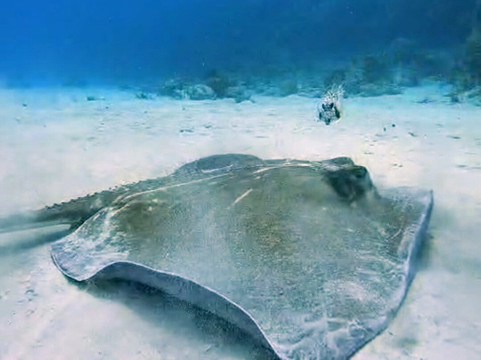 Diving Funs-圣安德烈斯岛必去景点