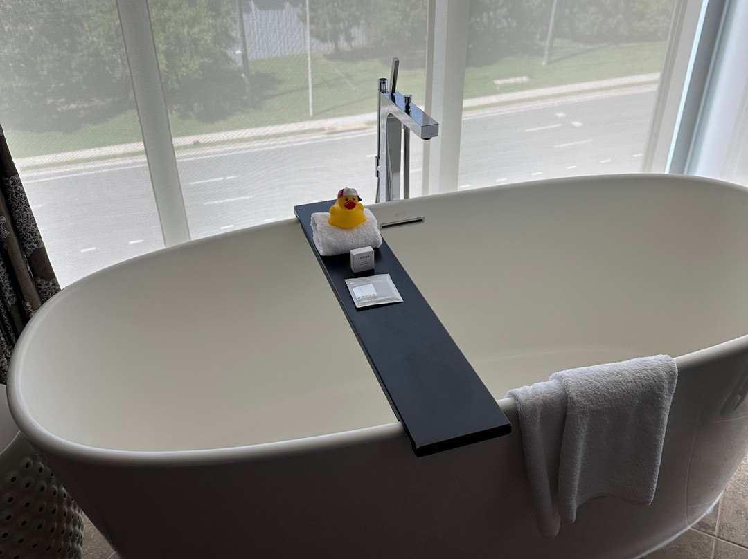 梅里菲尔德福尔斯彻奇凯悦豪斯酒店主图