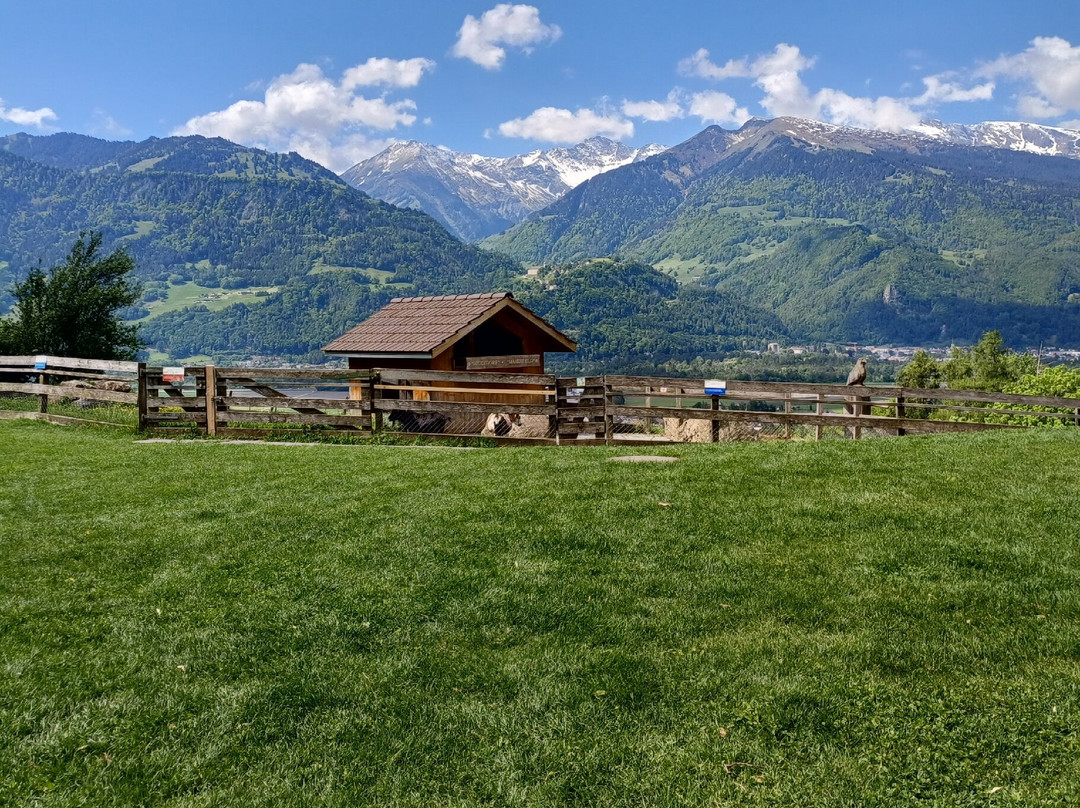 Heidi Trail-Maienfeld必去景点