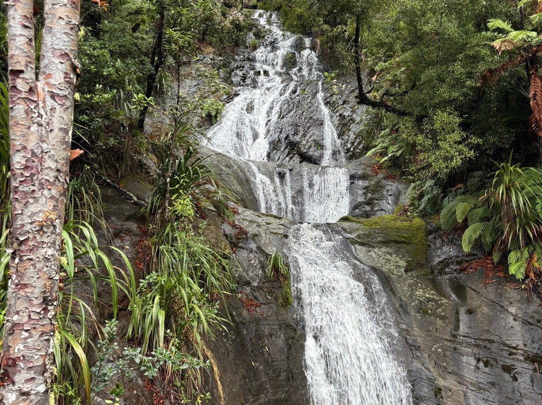 Fairy Falls-奥克兰必去景点