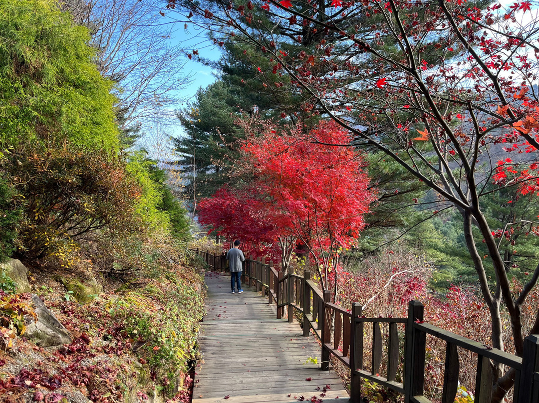 The Garden of Morning Calm-加平郡必去景点