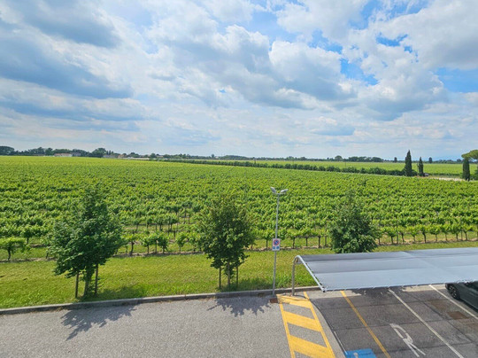 Forchir Viticoltori In Friuli