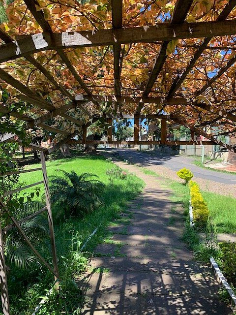 Parque Vinte De Maio-阿雷格里港必去景点