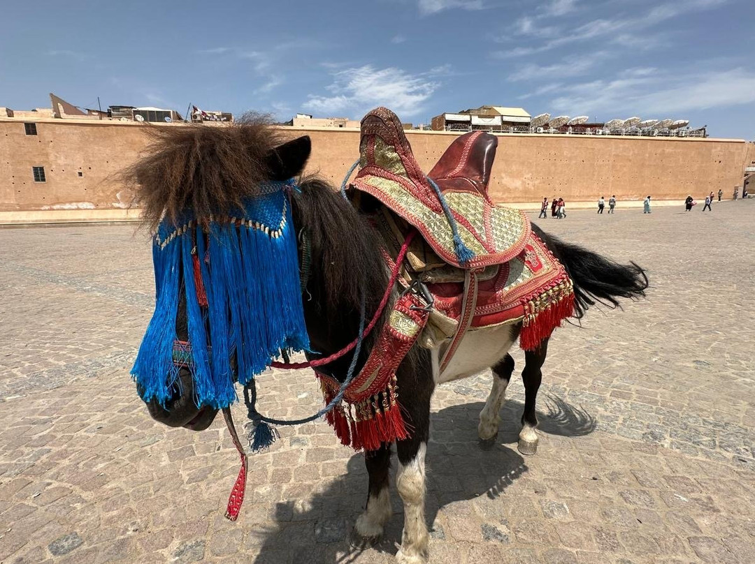 Mhamid Voyages-迈哈米德必去景点