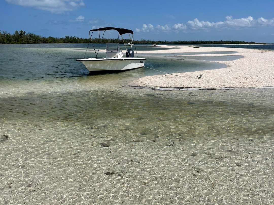 Jensen's Marina Boat Rentals-俘虏岛必去景点