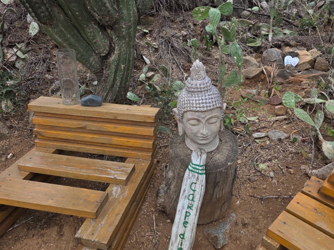 Nafanny Spa-Noord必去景点