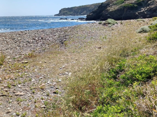 Cala Morella Nou-Mahon必去景点