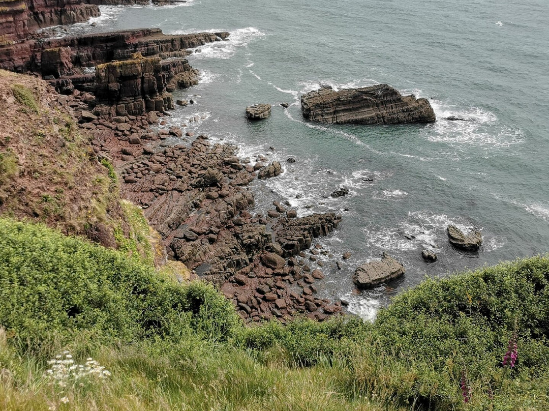 Wales Coastal Path-St. Davids必去景点