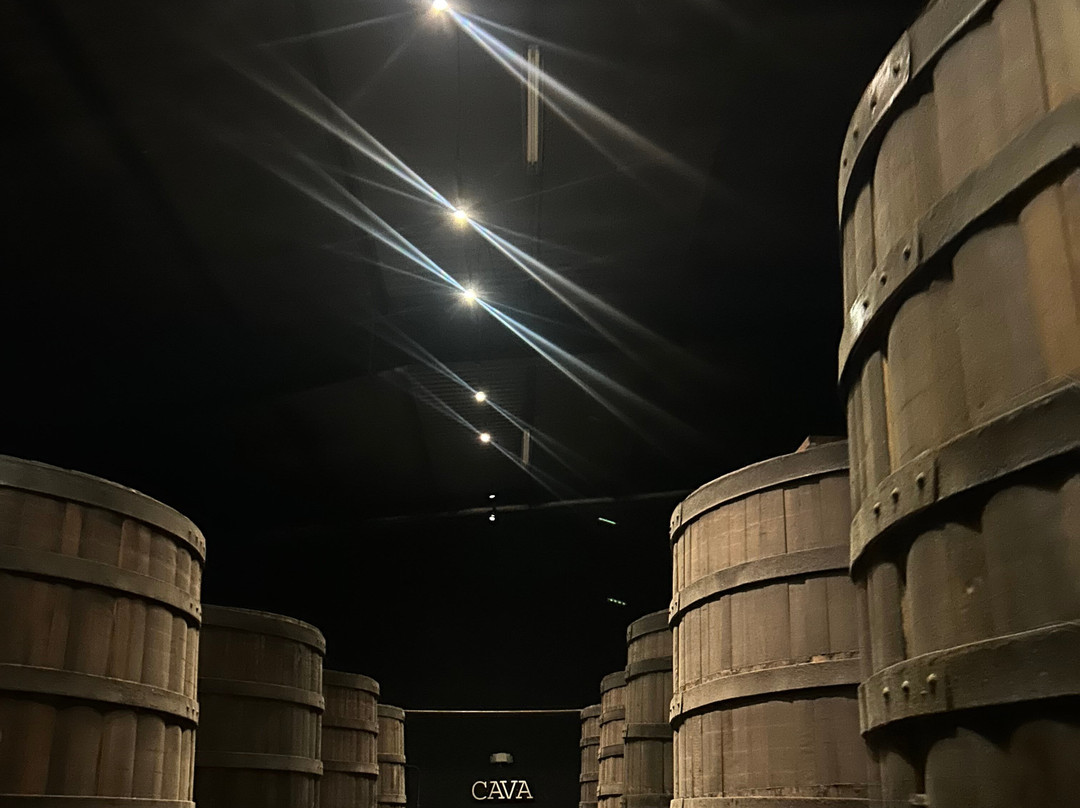 Bodegas Domecq景点图片