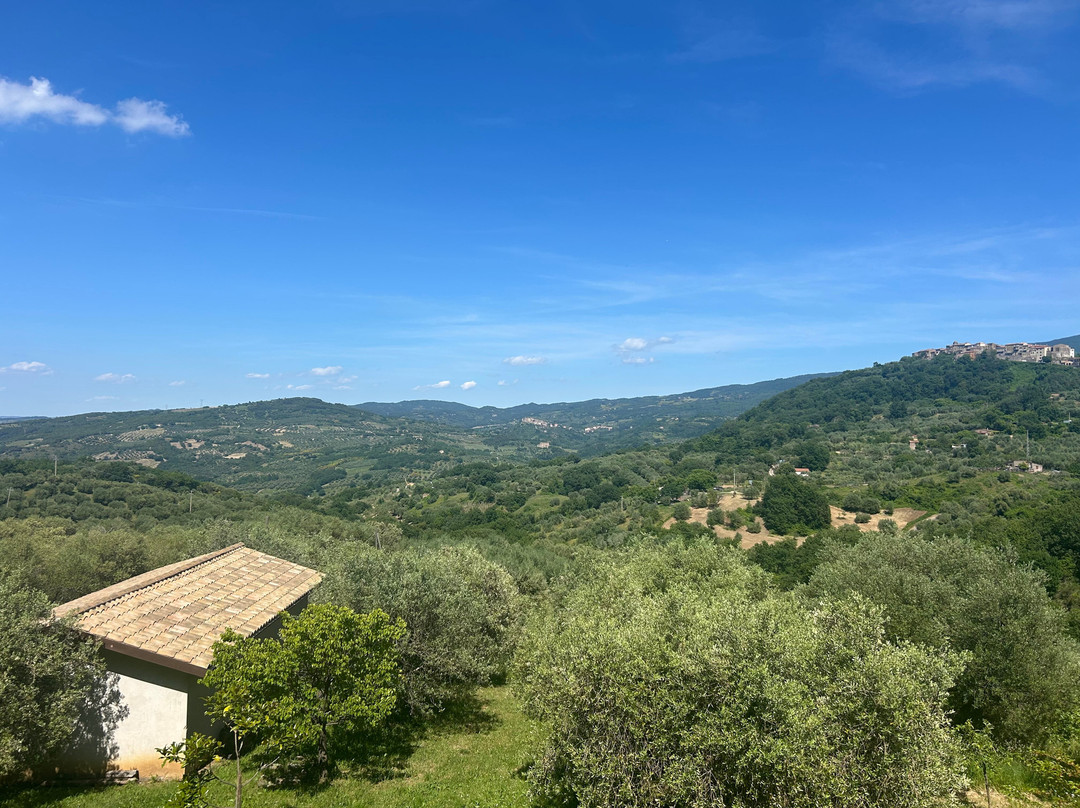 Amiata I Vini Del Vulcano景点图片