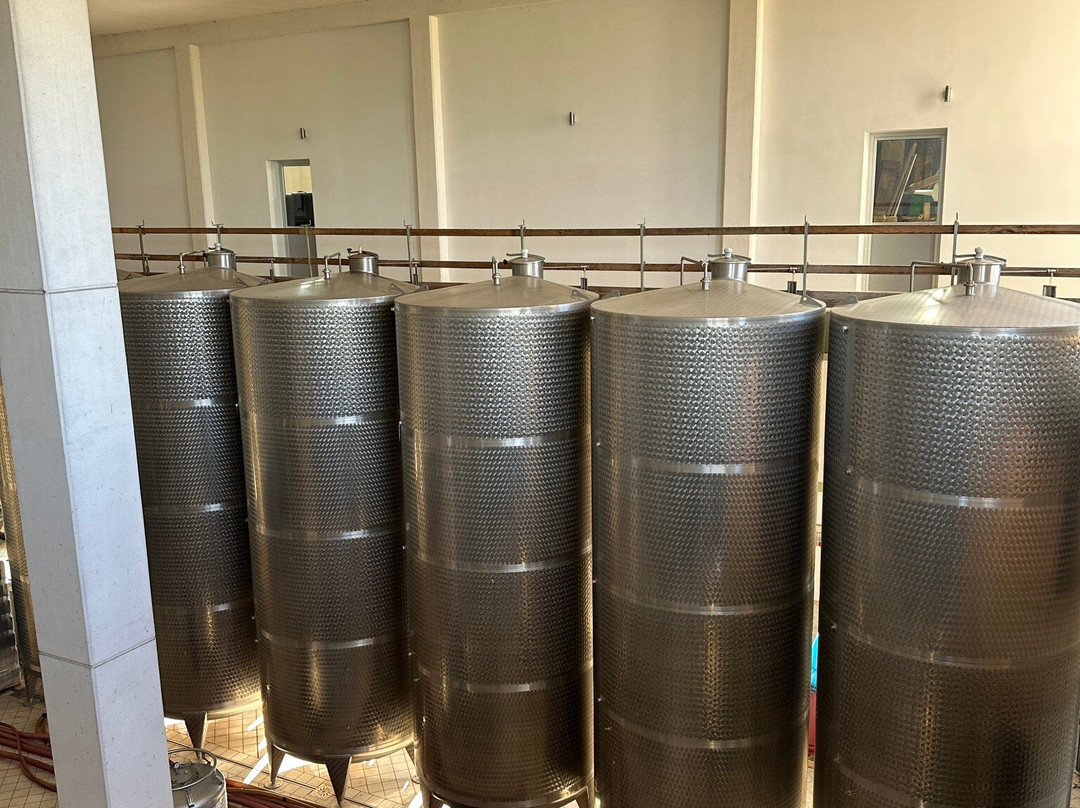 Azienda Agricola Melillo景点图片