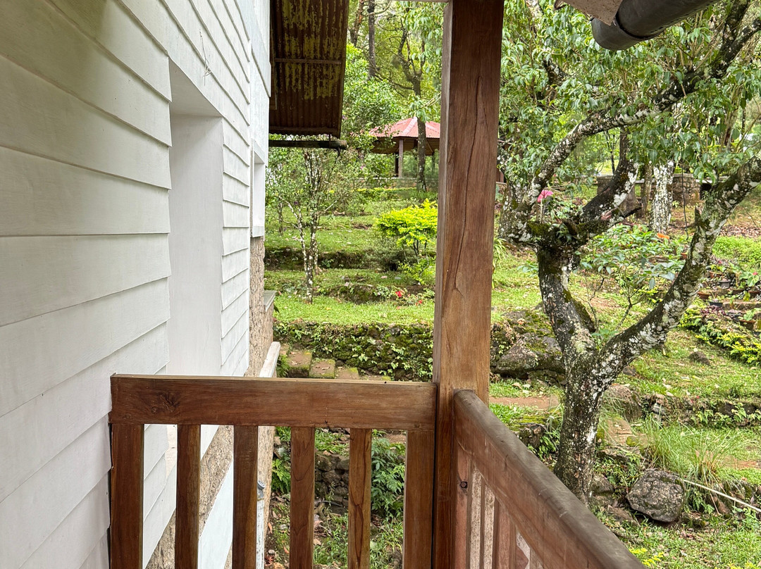 Windermere Estate主图