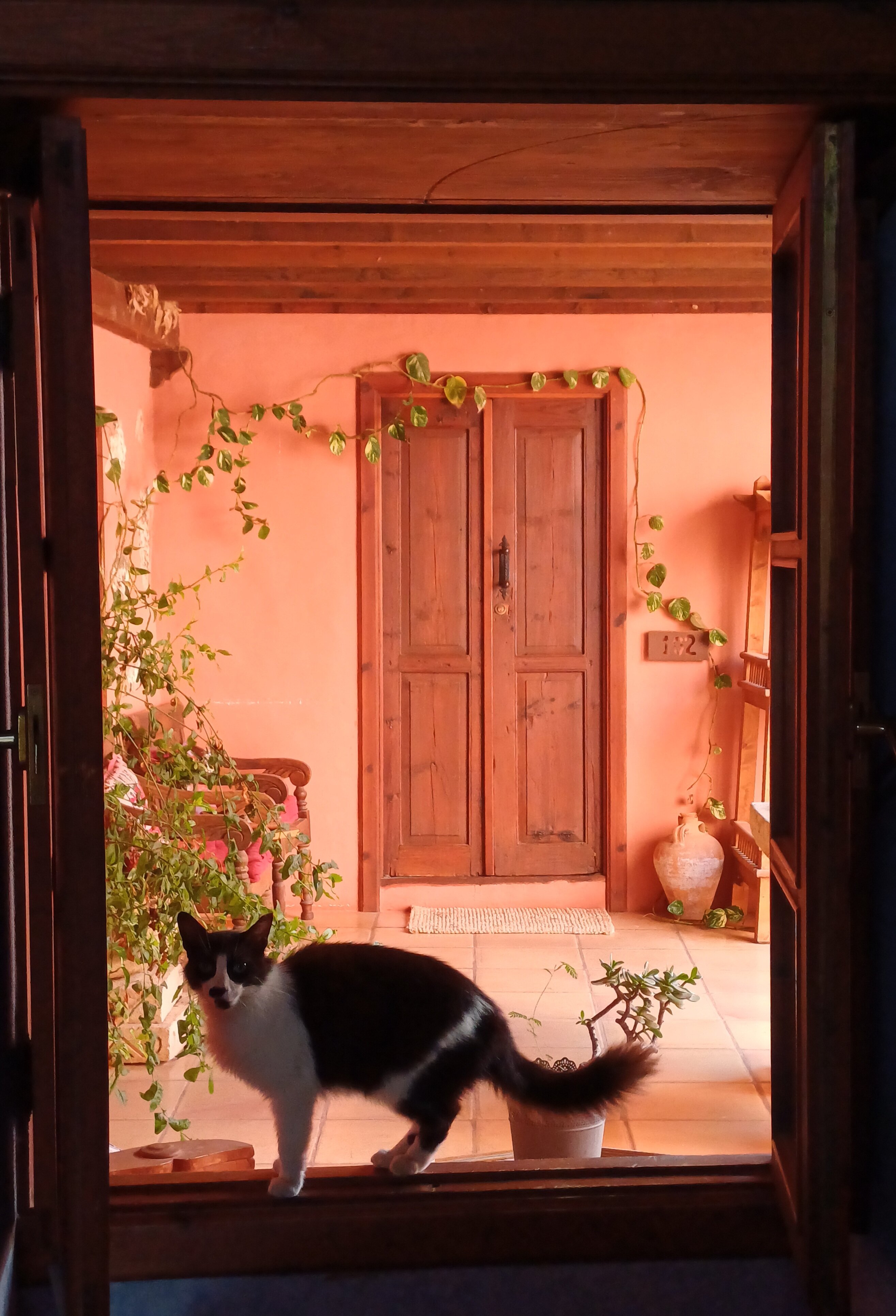 Casa el Morro-酒店景观