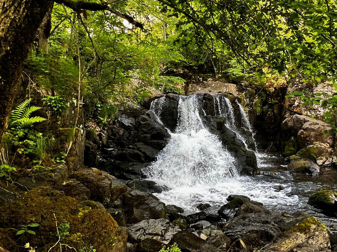 Cascades des Touzes-Saint-Chely-d'Aubrac必去景点