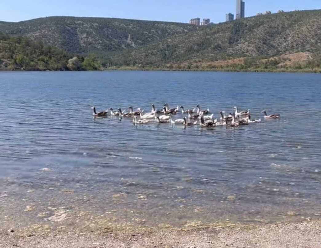 Eymir Lake-安卡拉必去景点