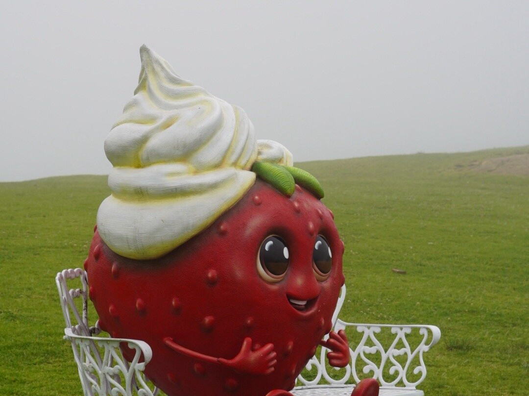 Fresas Con Crema El Rosal