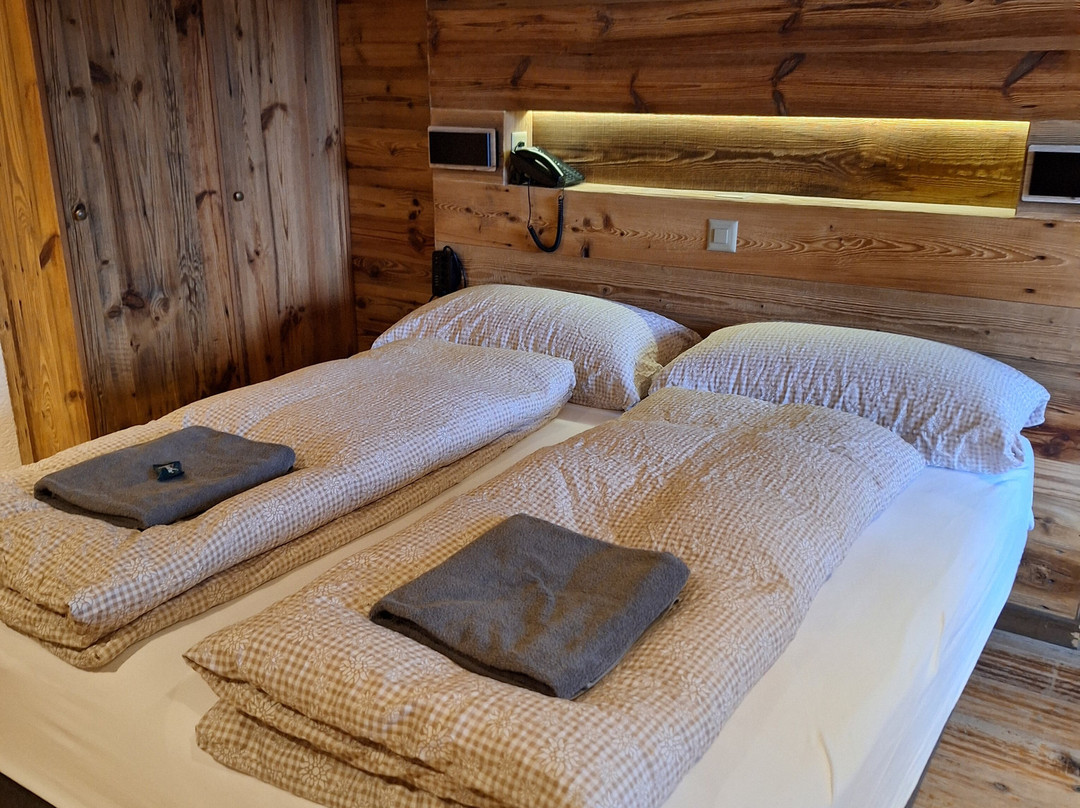 Hotel Le Grand Chalet主图