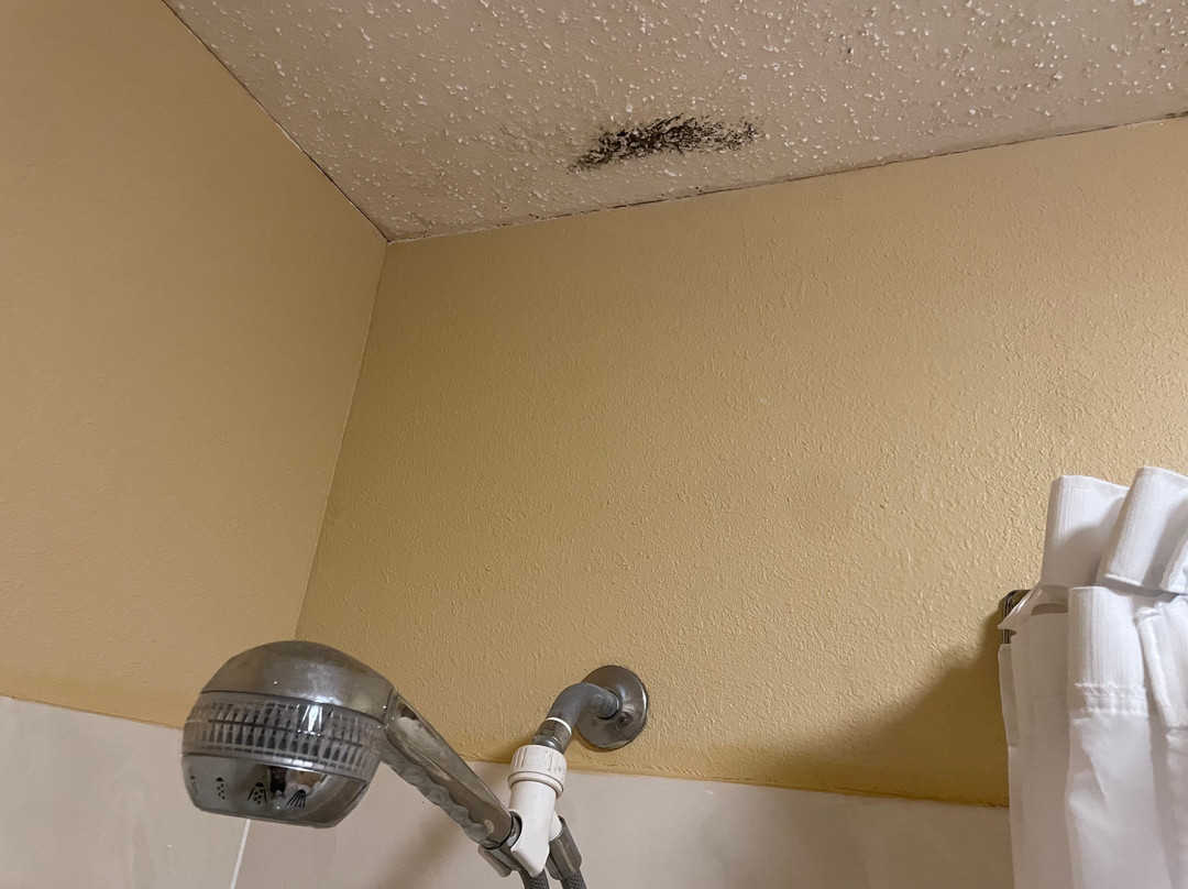 Super 8 by Wyndham O'Fallon主图