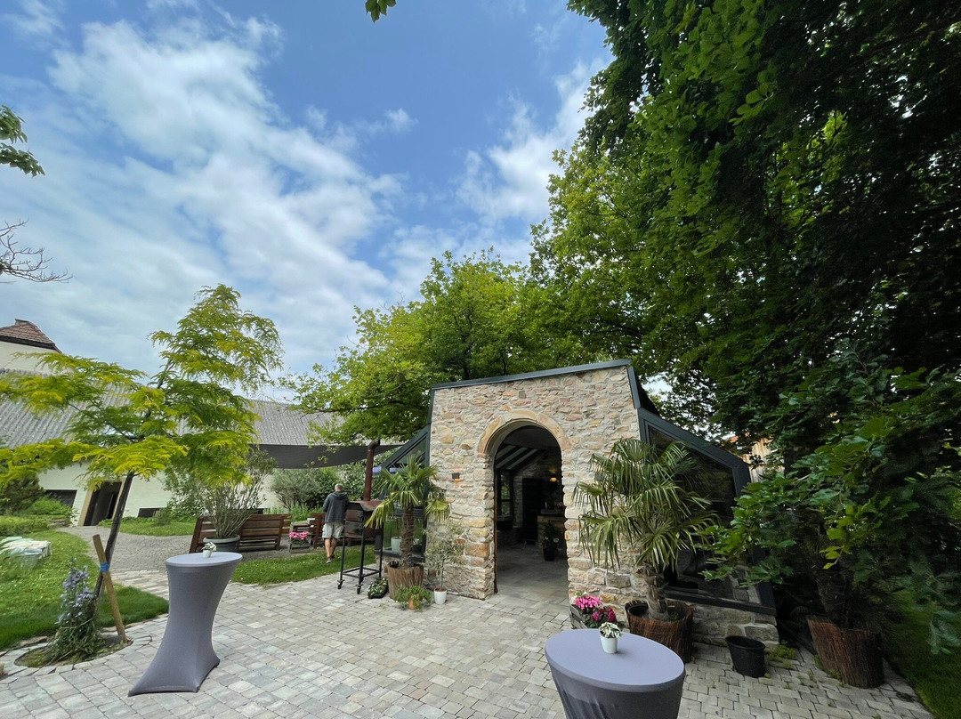 Weingut Gebert-Siefersheim必去景点