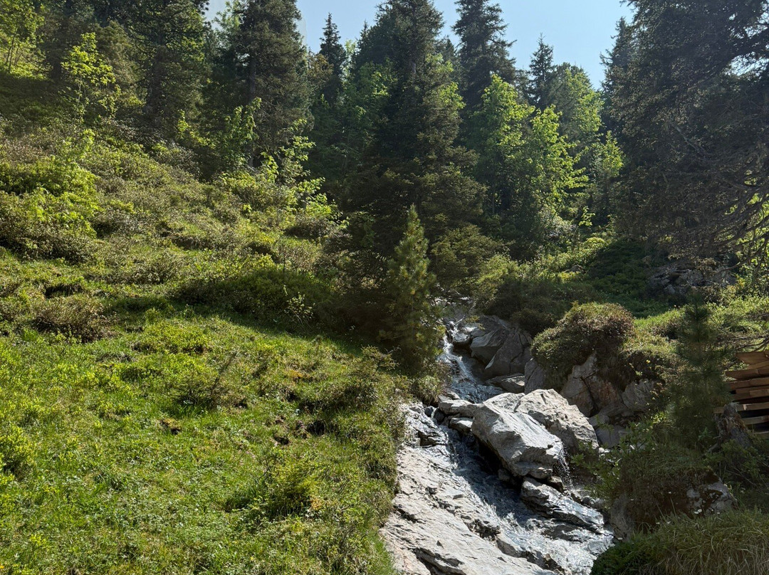 Grindelwald Walking Tours-格林德瓦必去景点