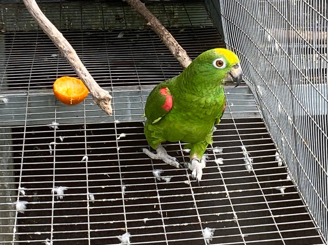 Ilha das Aves-Campanario必去景点