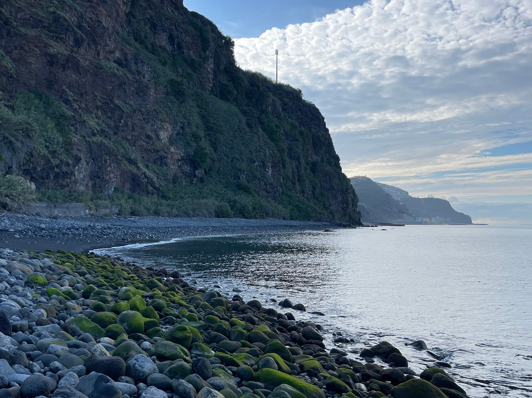 Dragon Tree Travel-沙尔必去景点