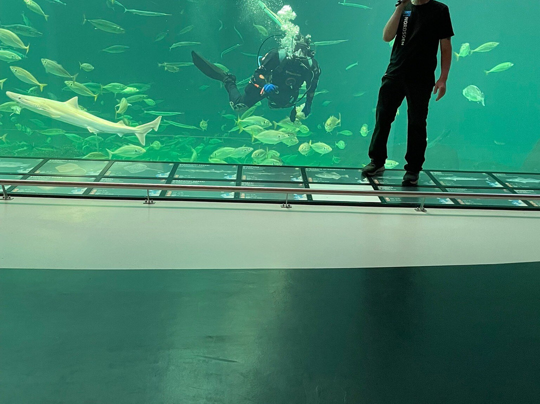 Nordsoen Oceanarium景点图片