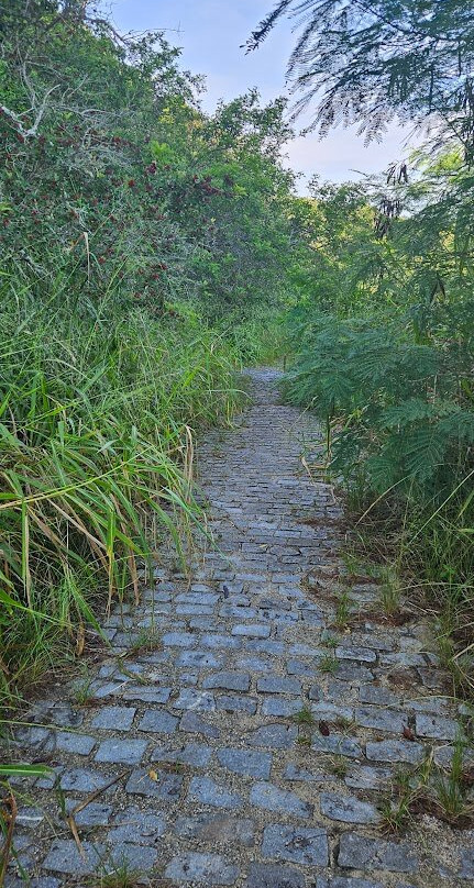 Mirante do Forno-布基亚斯必去景点