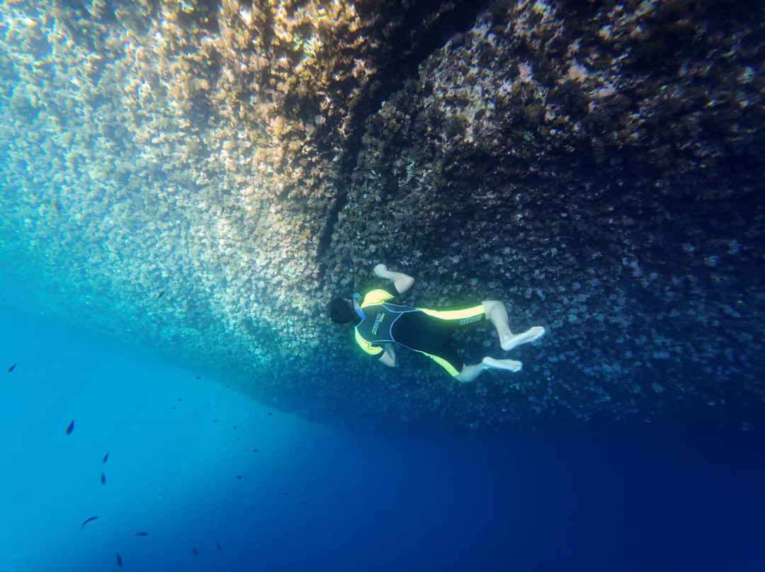 Cilento Snorkeling景点图片