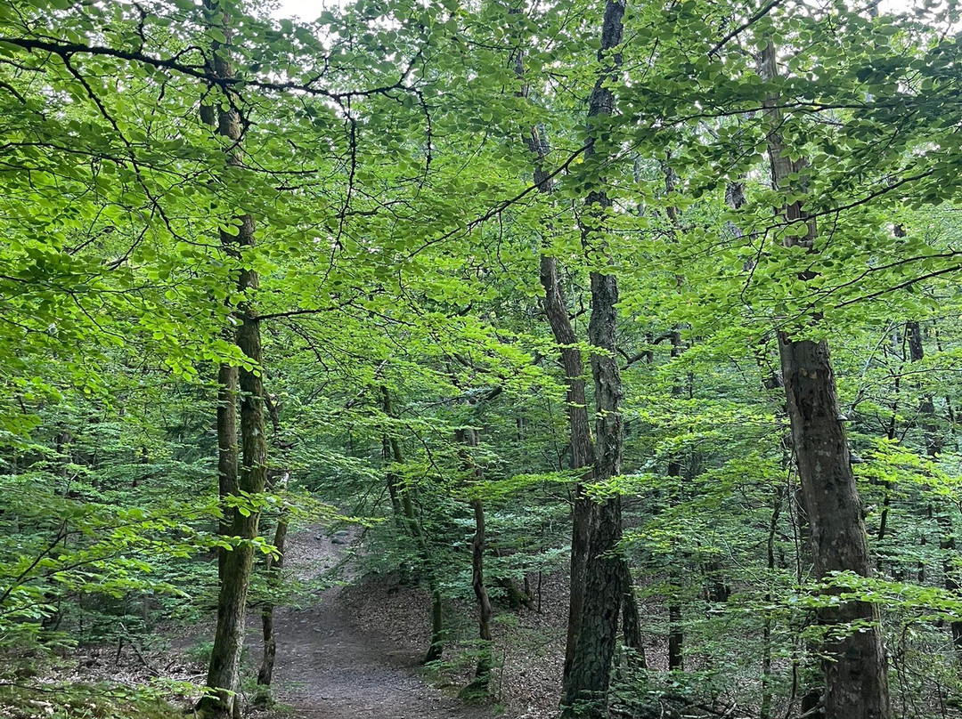 Danska Fall National Reserve-哈姆斯塔德必去景点