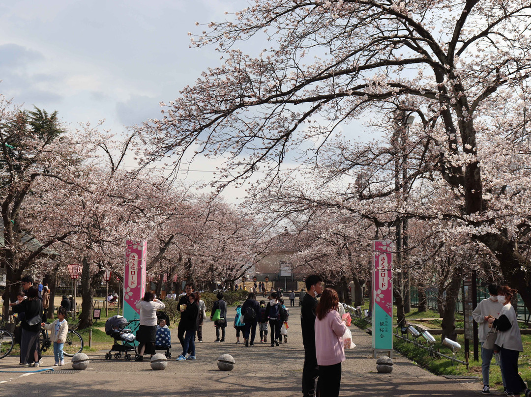 Takada Park-上越市必去景点