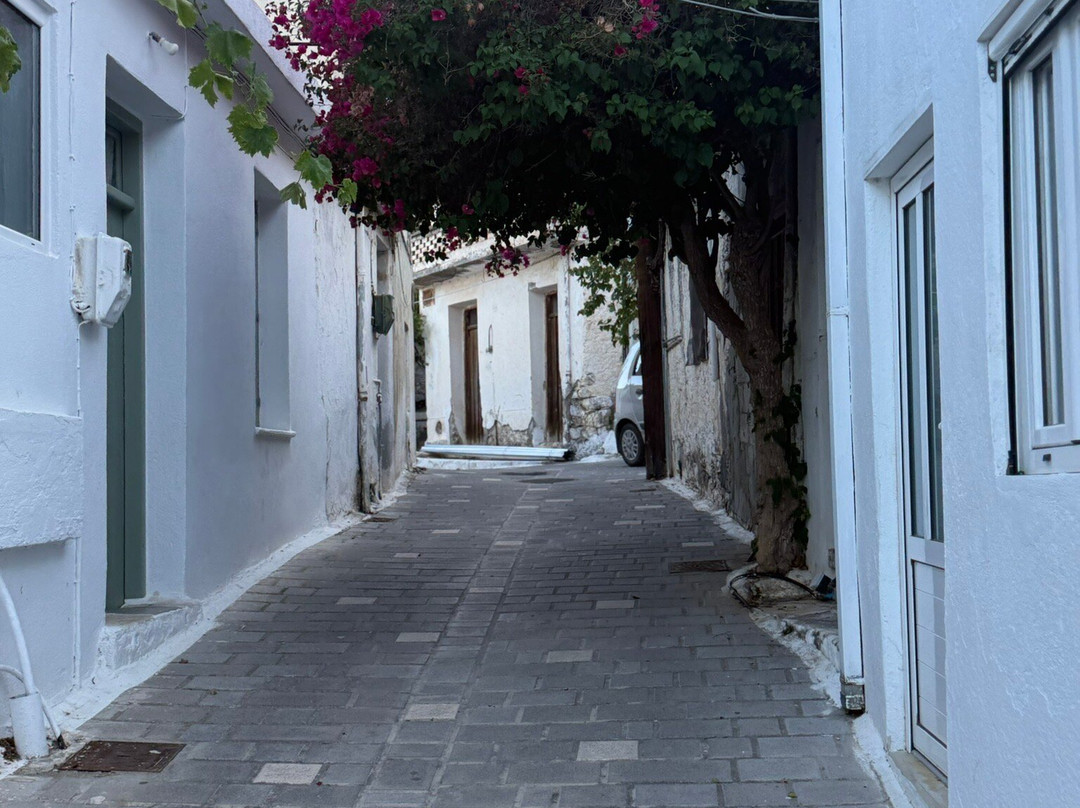 Kritsa Village-Kritsa必去景点