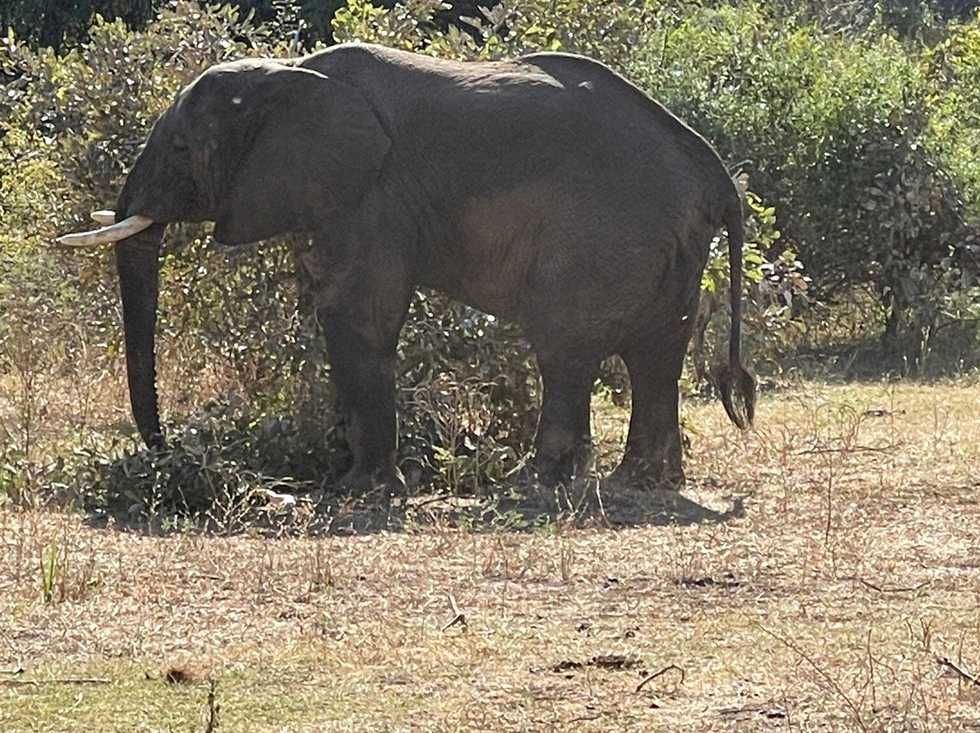 Mopani Safari Lodge主图