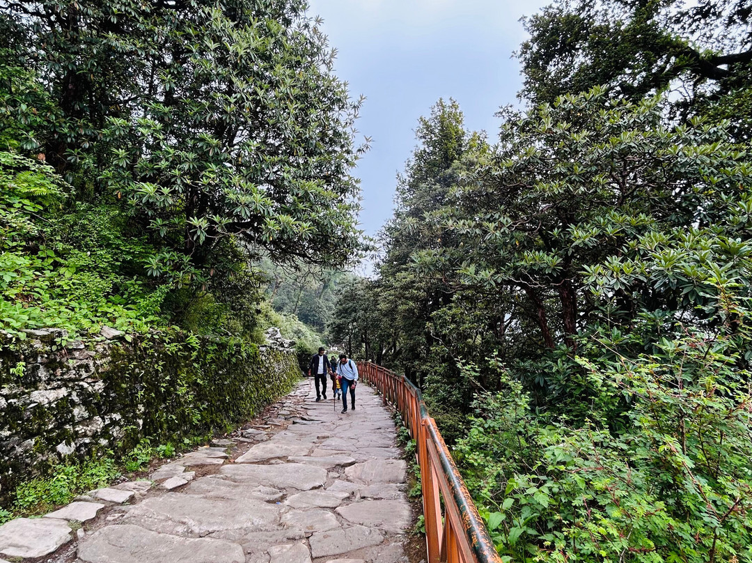 Baaromaas Travel景点图片