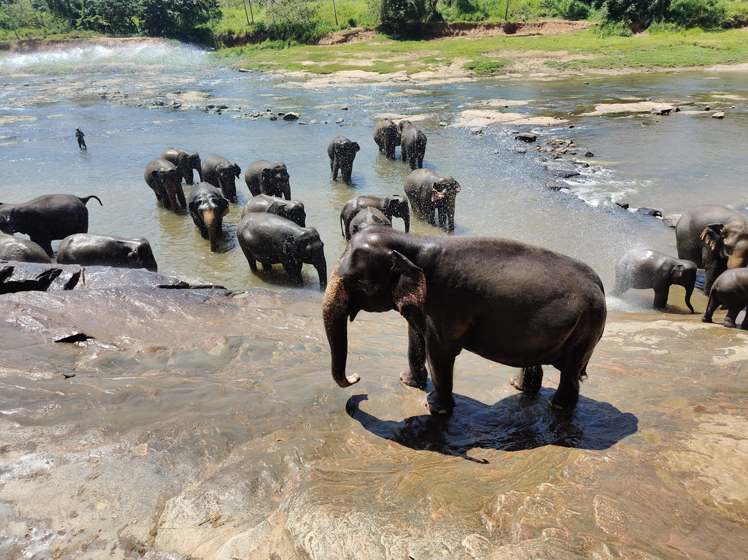 Umigo Lanka Tours-Ganemulla必去景点