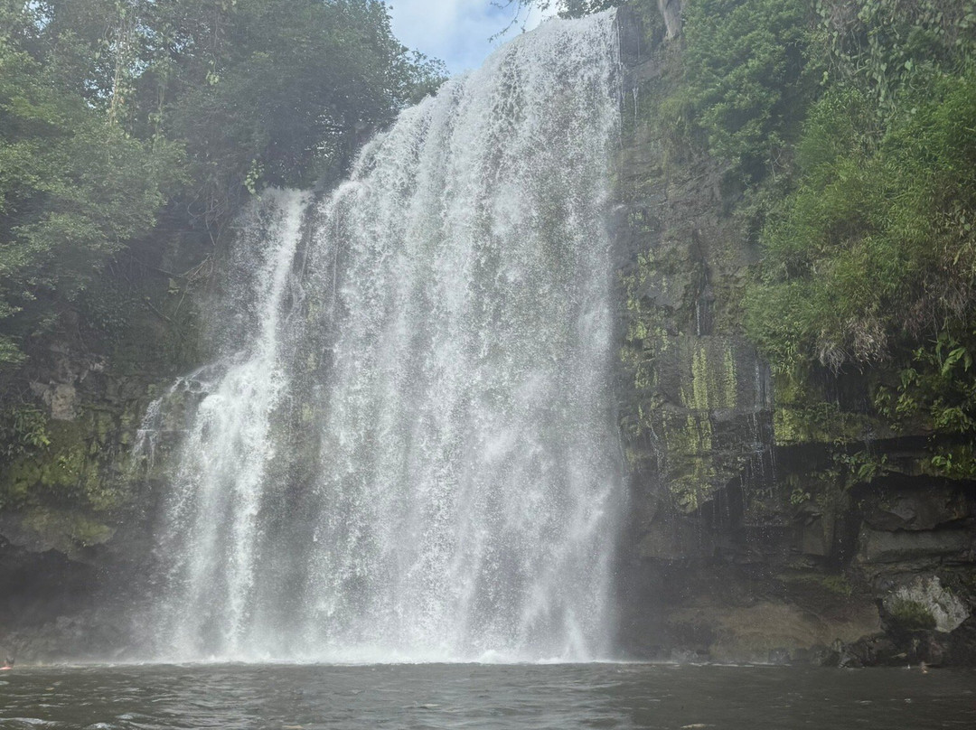 Sebastians unique tours costa Rica景点图片