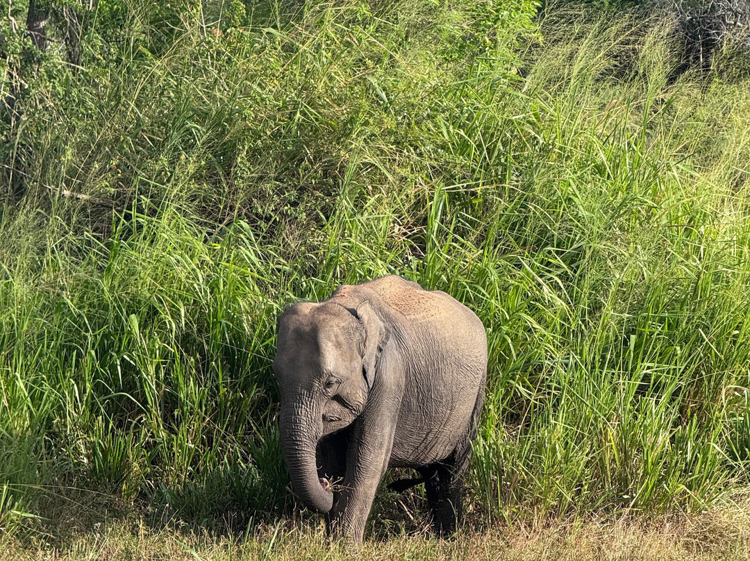 SDF Tours-哈巴拉娜必去景点