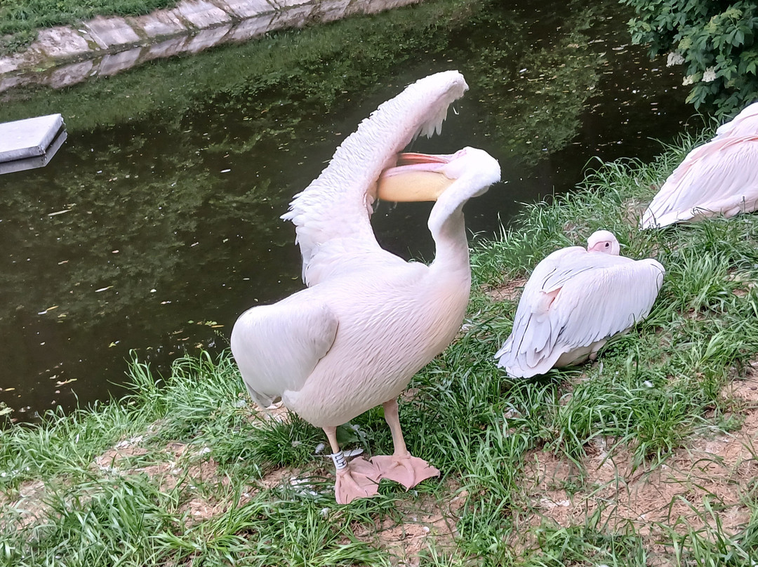 Zoopark Kaunas-考那斯必去景点