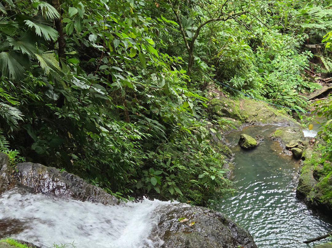 Pacheco Tours-德雷克湾必去景点