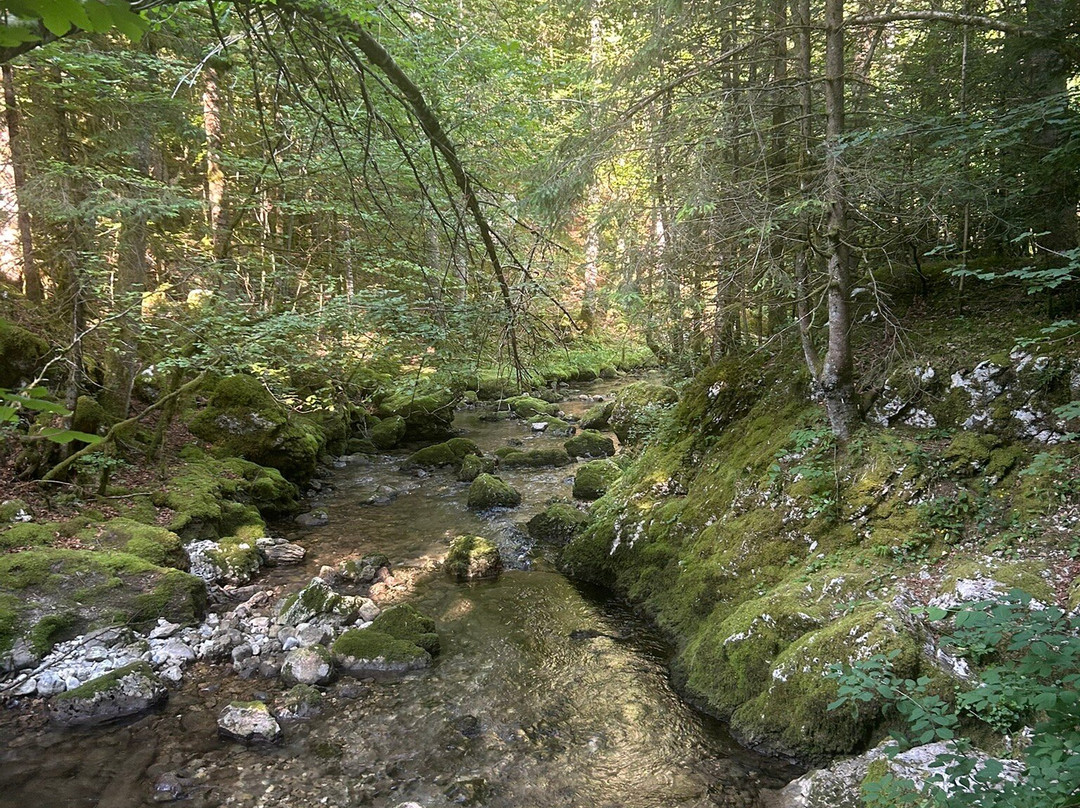 Site Naturel du Cirque de Saint-Même-Saint-Pierre-d'Entremont必去景点