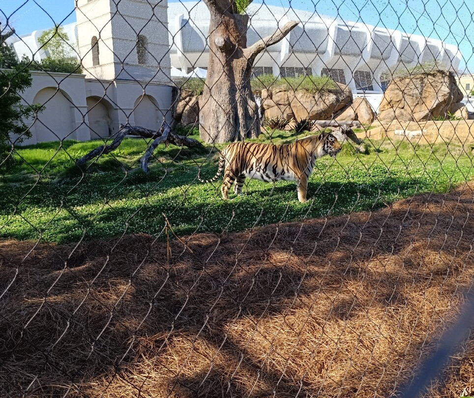 LSU Tiger Stadium-巴吞鲁日必去景点
