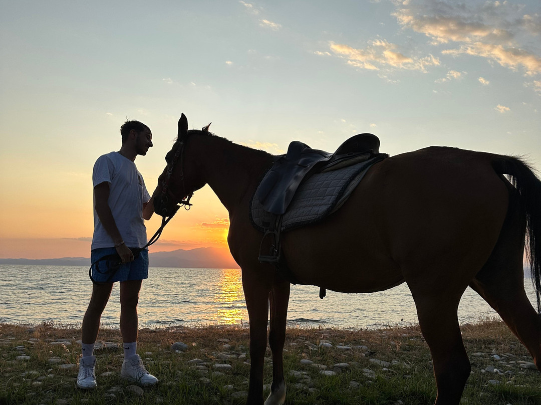 Thassos Horse Club-Skala Prinou必去景点