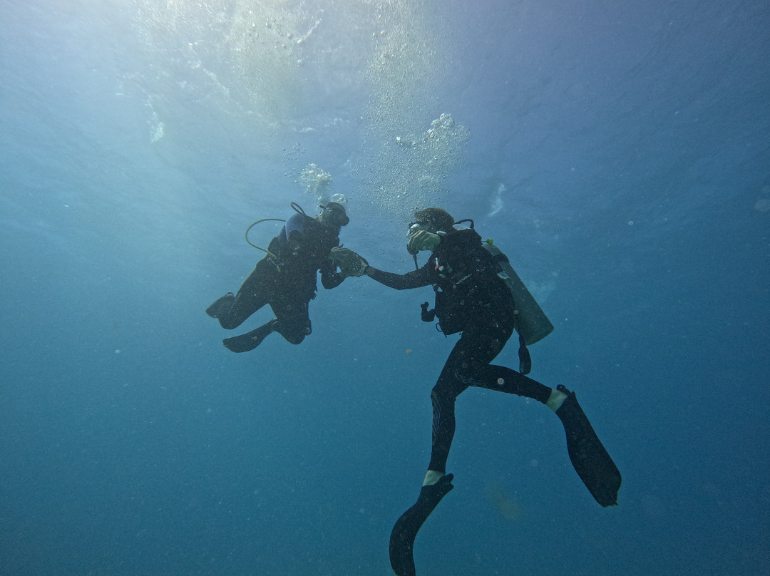 Big Kahuna Water Sports-火奴鲁鲁必去景点