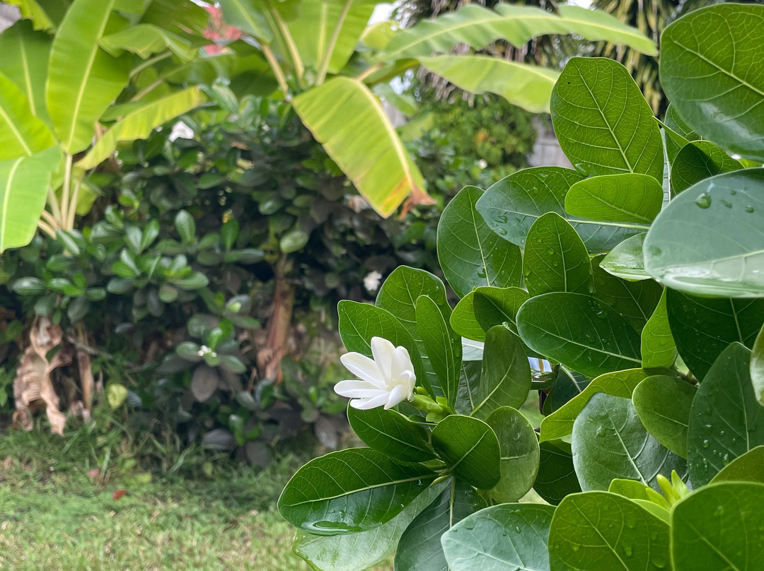 Pension Te Miti主图